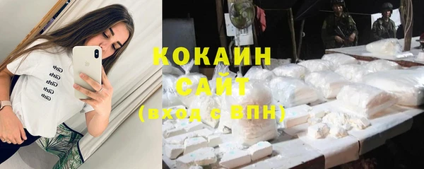 крисы Арсеньев