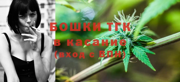 крисы Арсеньев