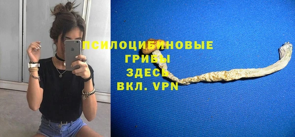 не бодяженный Аркадак