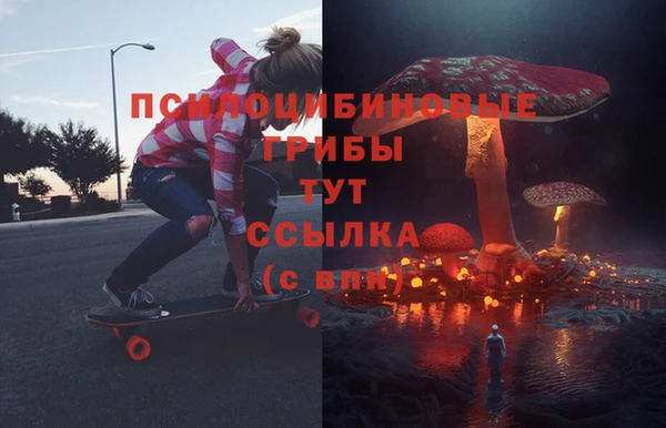 крисы Арсеньев