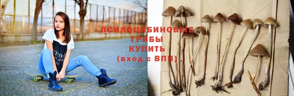 крисы Арсеньев